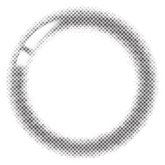 Lenstown Nudy Coco Black Monthly Colored Contacts (2 Pack)